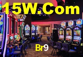 Premium Interface Br9