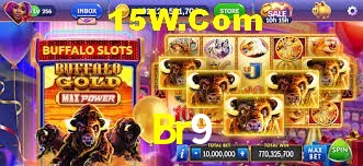 Experiência VIP Br9